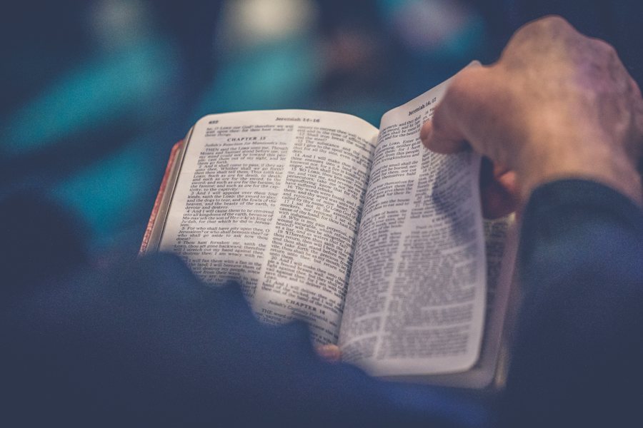 Open Bible held in hand, representing The Mustard Seed